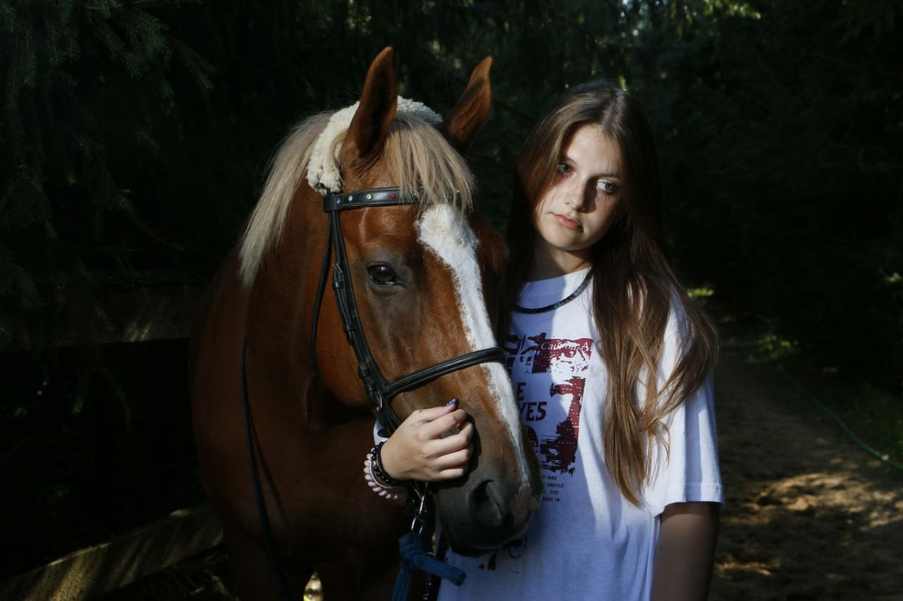 Horses. AVE CONCEPT by German S