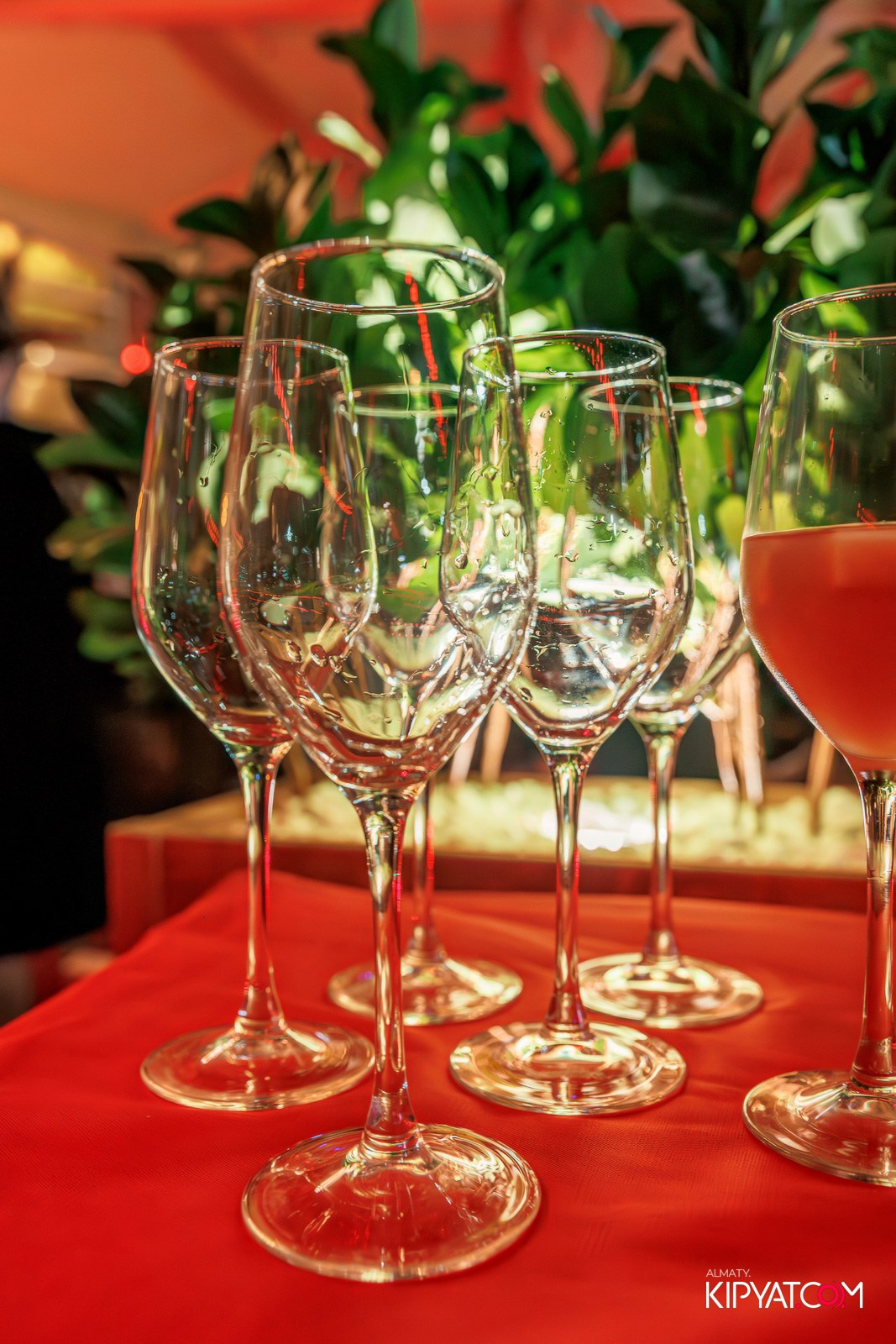 OLOVO BAR НА ДОСТЫК. КИПЯТКОМ АЛМАТЫ!