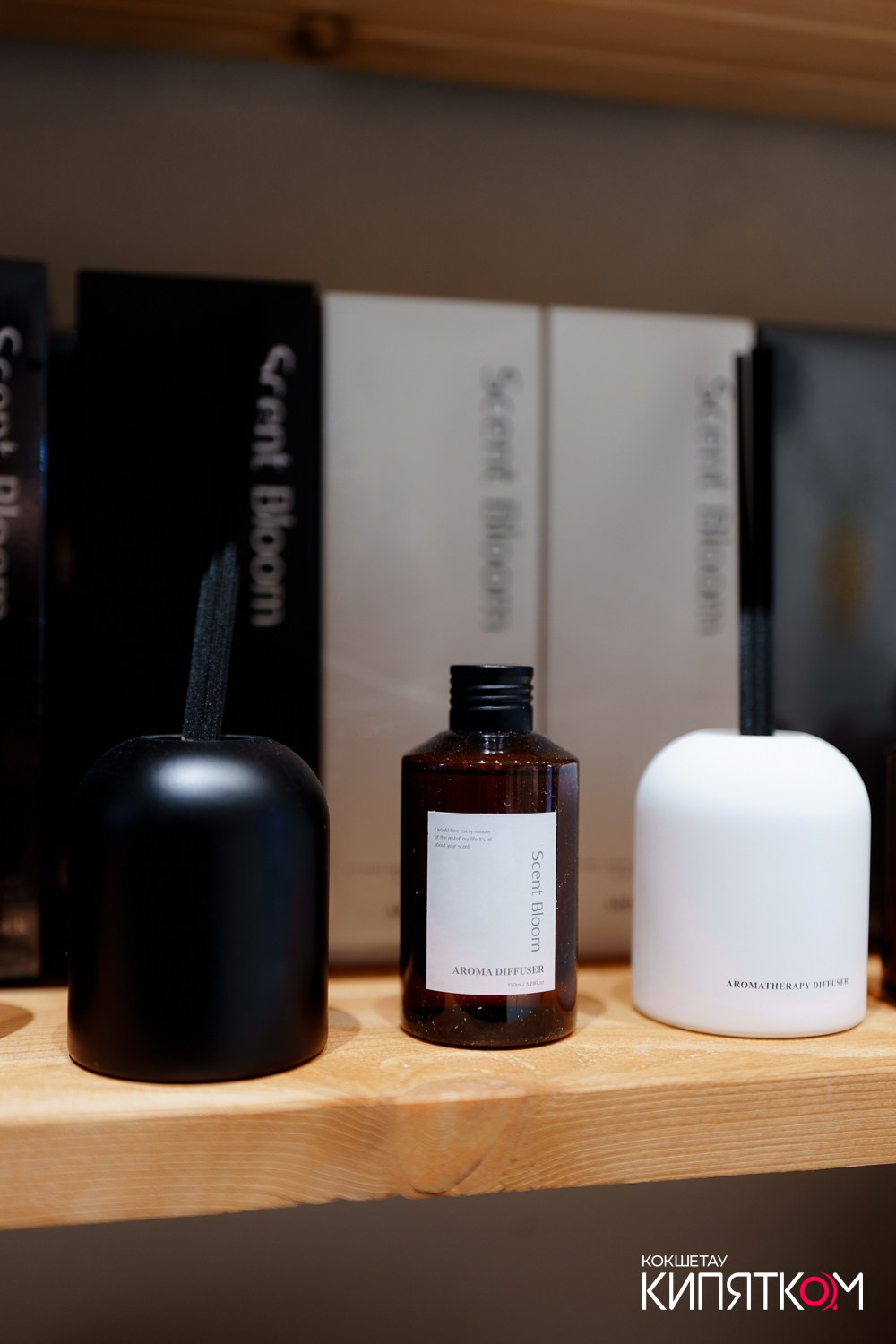 ART HOUSE. КИПЯТКОМ КОКШЕТАУ