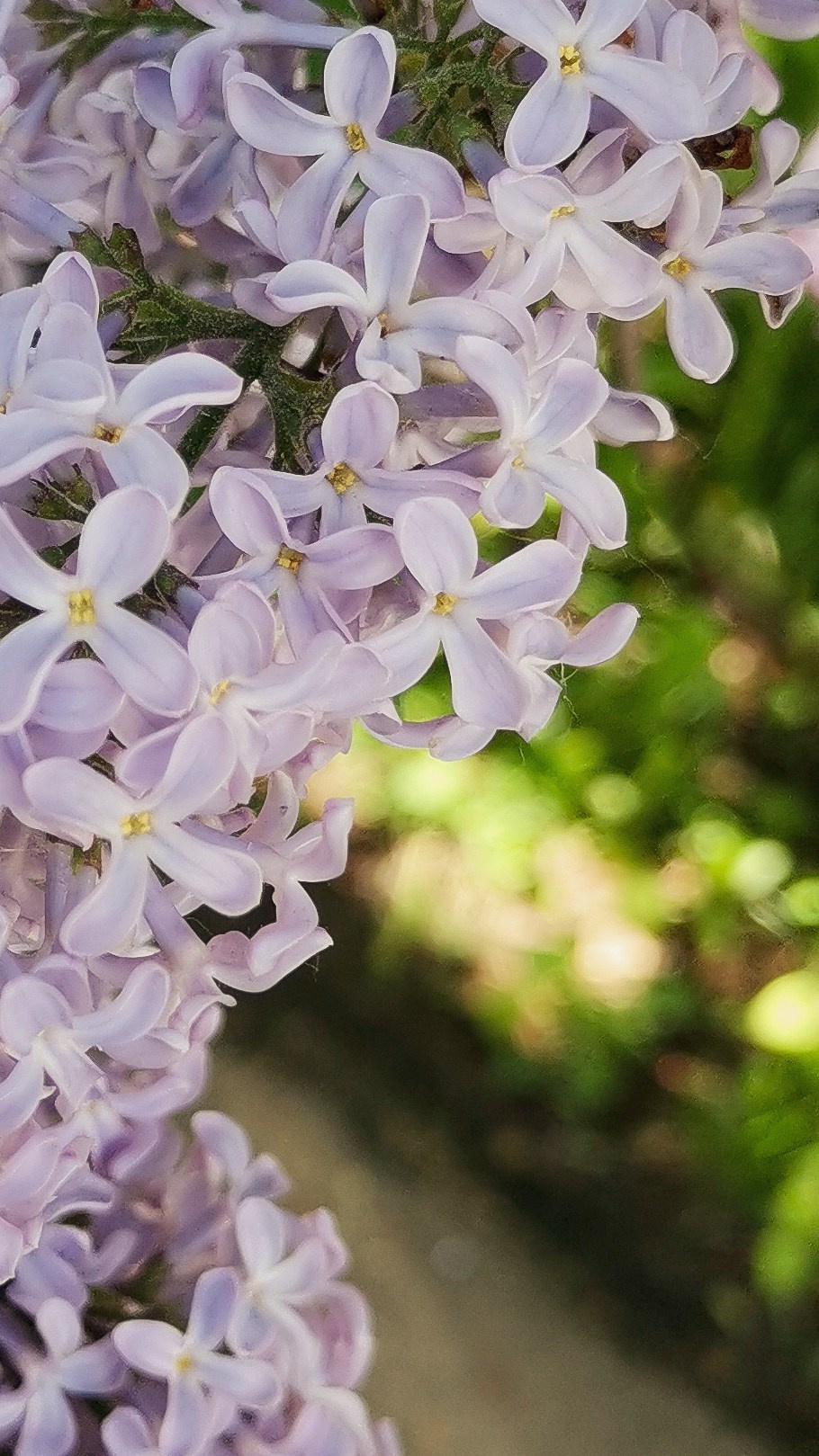 Академия фотографии. Фото/Ретушь/Обучение
