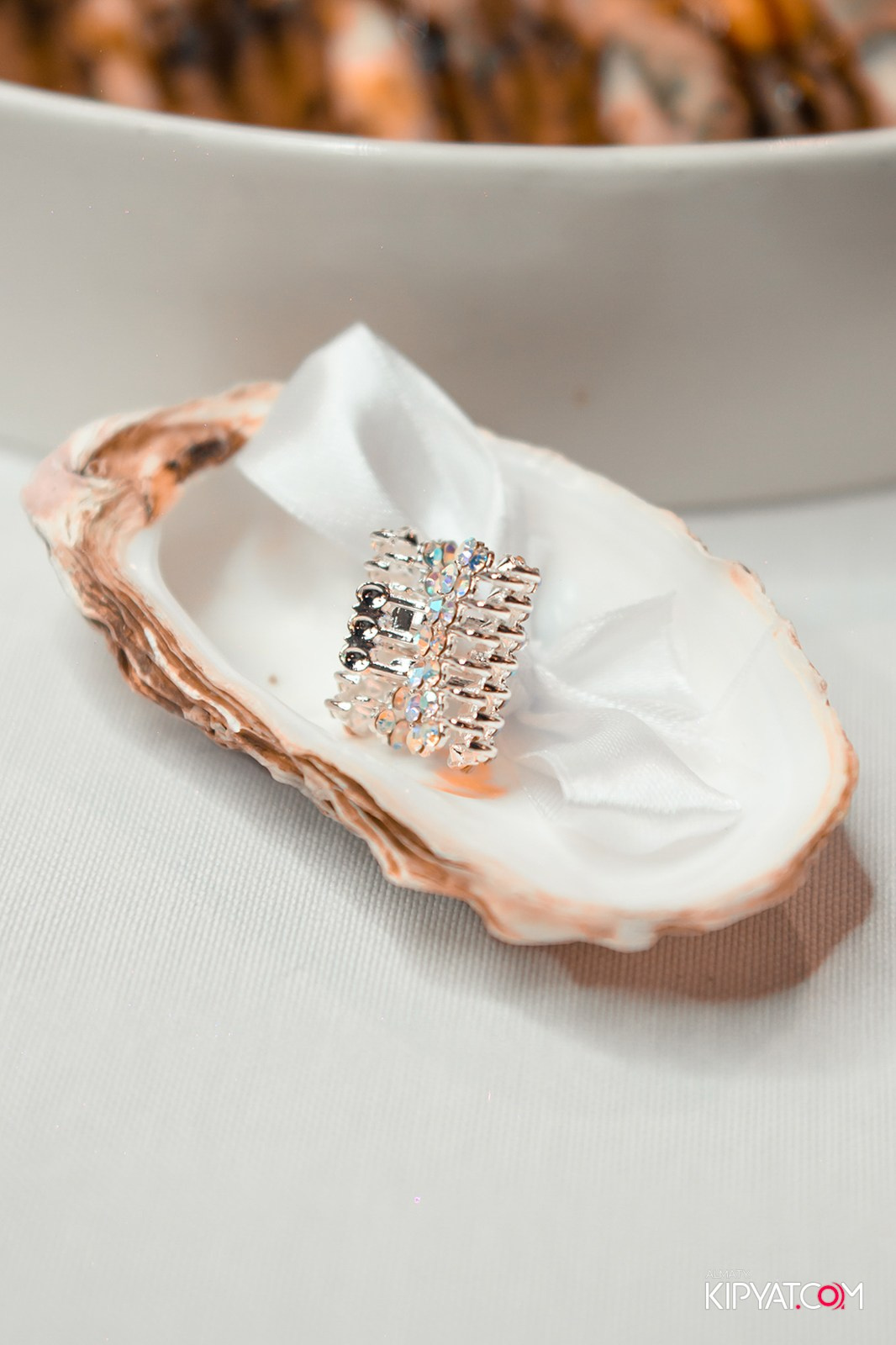 DARIYA'S BIRTHDAY PARTY. КИПЯТКОМ АЛМАТЫ!