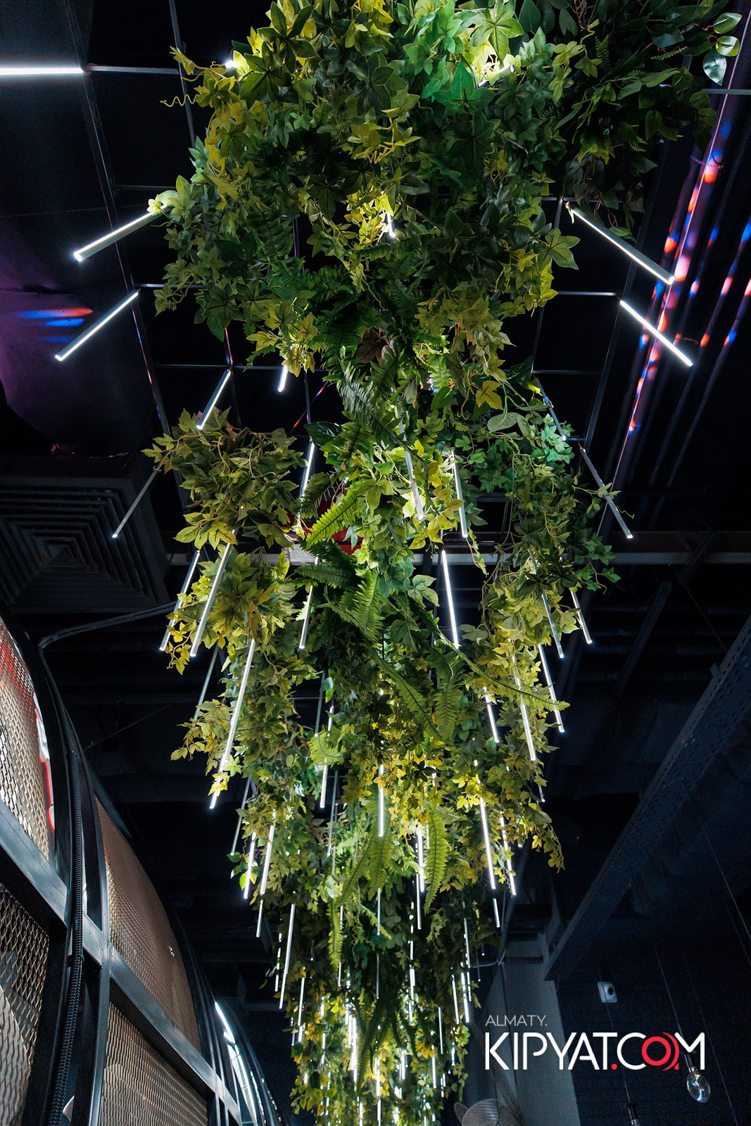 FRIENDS BAR & TERRACE. КИПЯТКОМ АЛМАТЫ!