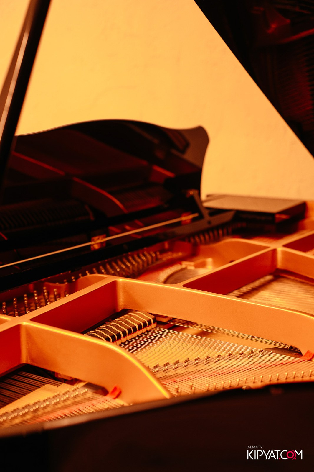 РЕСТОРАН BARFLY. КИПЯТКОМ АЛМАТЫ!