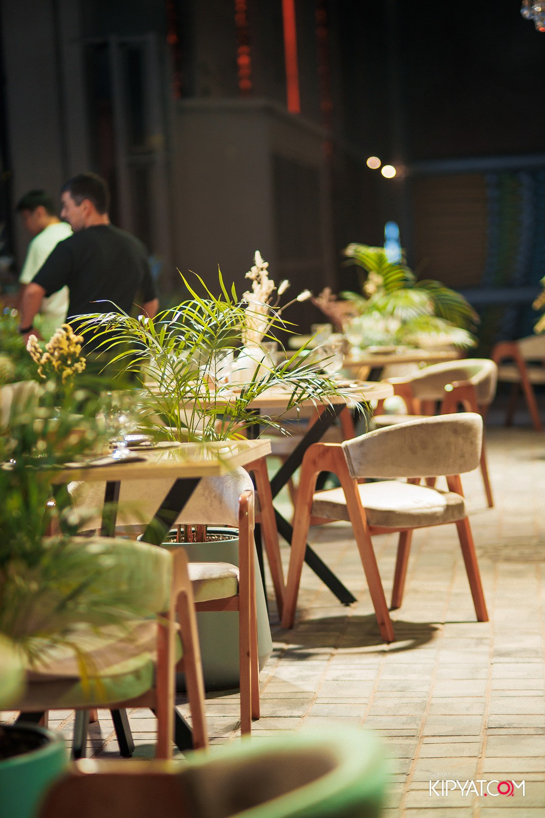 FRIENDS BAR & TERRACE. КИПЯТКОМ АЛМАТЫ!