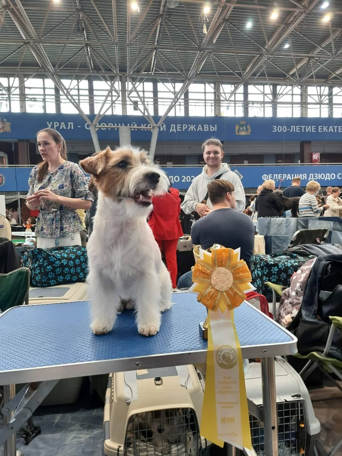 Port Fortis Xtreme Beauty