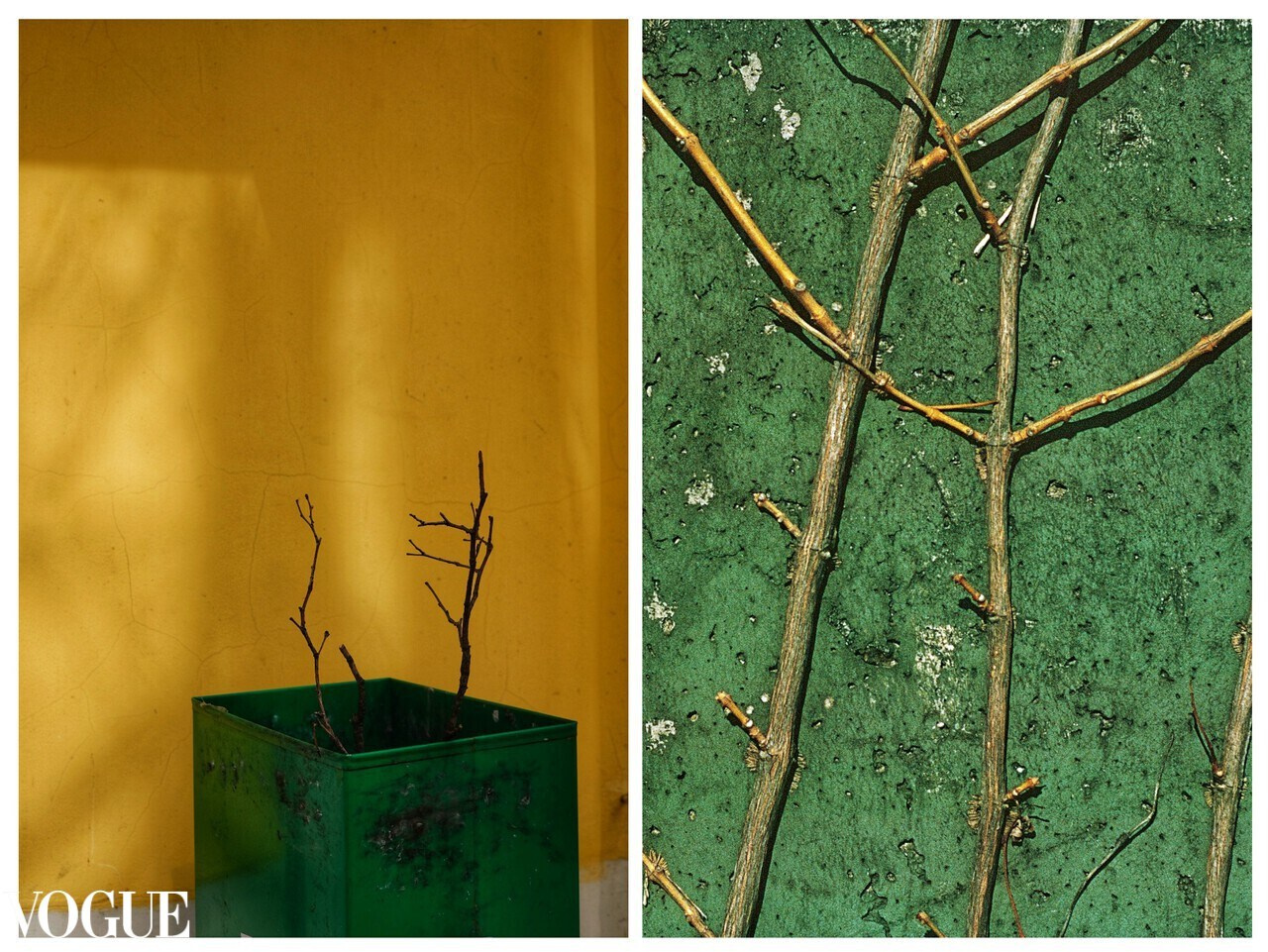 Fine Art Photography. Margarita Rodionova — a contemporary lens-based artist currently working in Cancun, Mexico