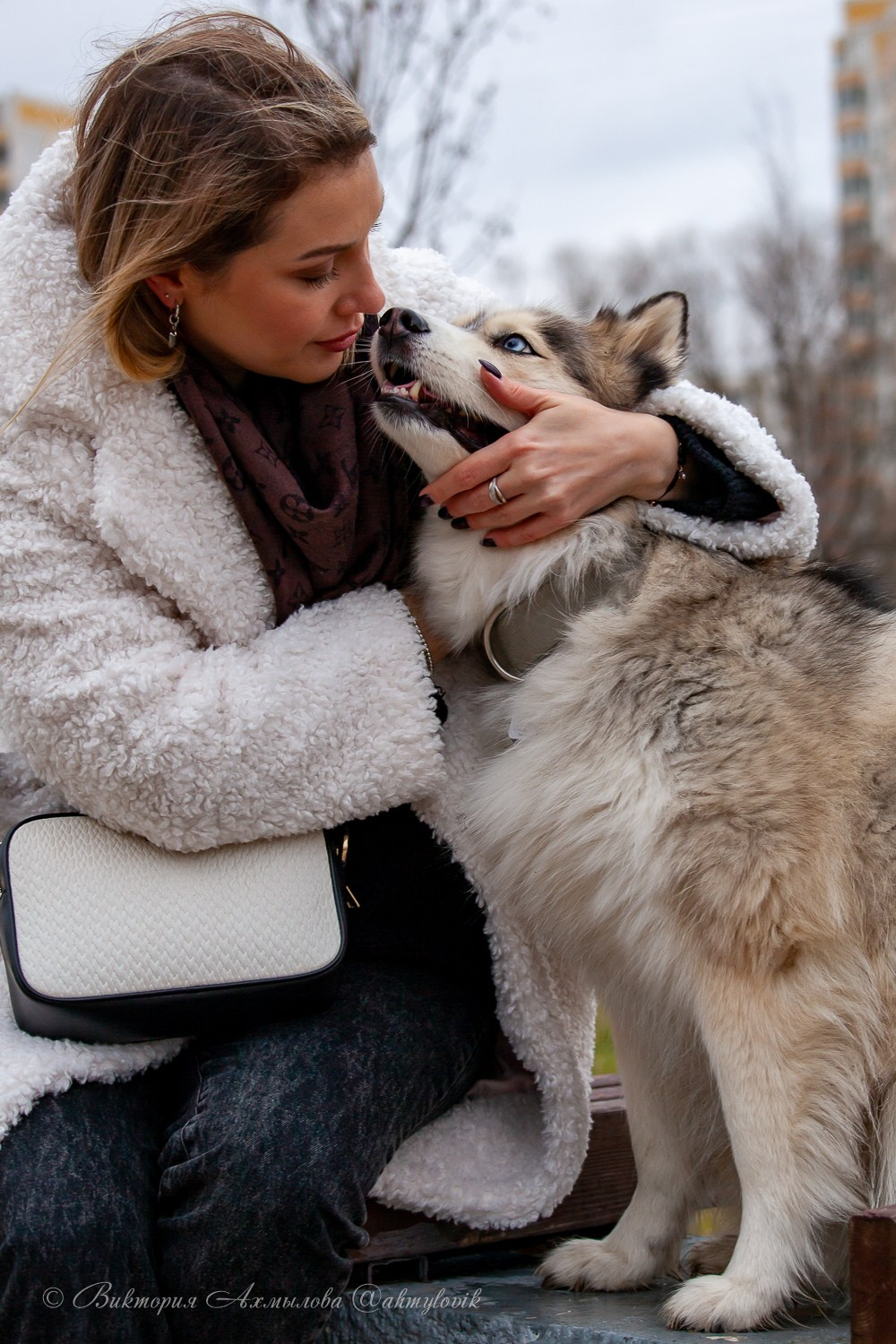 Прогулка с Хаски (Настя). Виктория Ахмылова. Фотограф в Москве