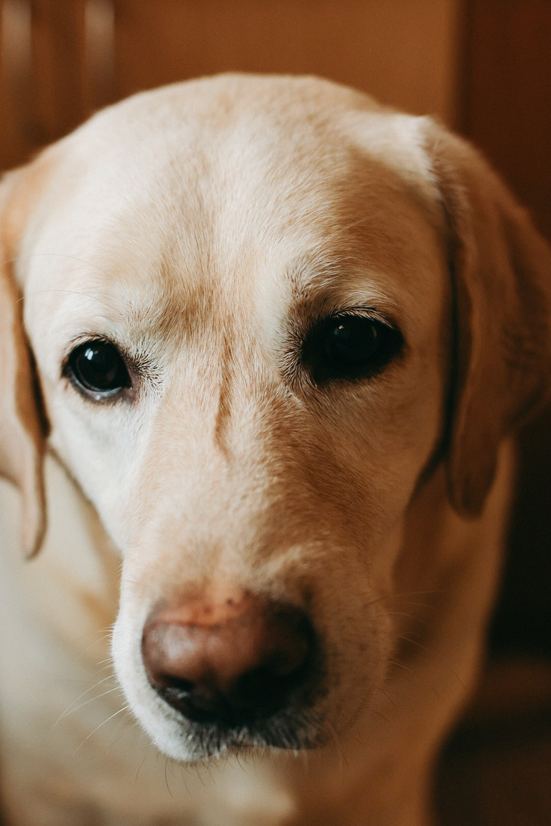 Family. Фотограф Нижний Новгород
