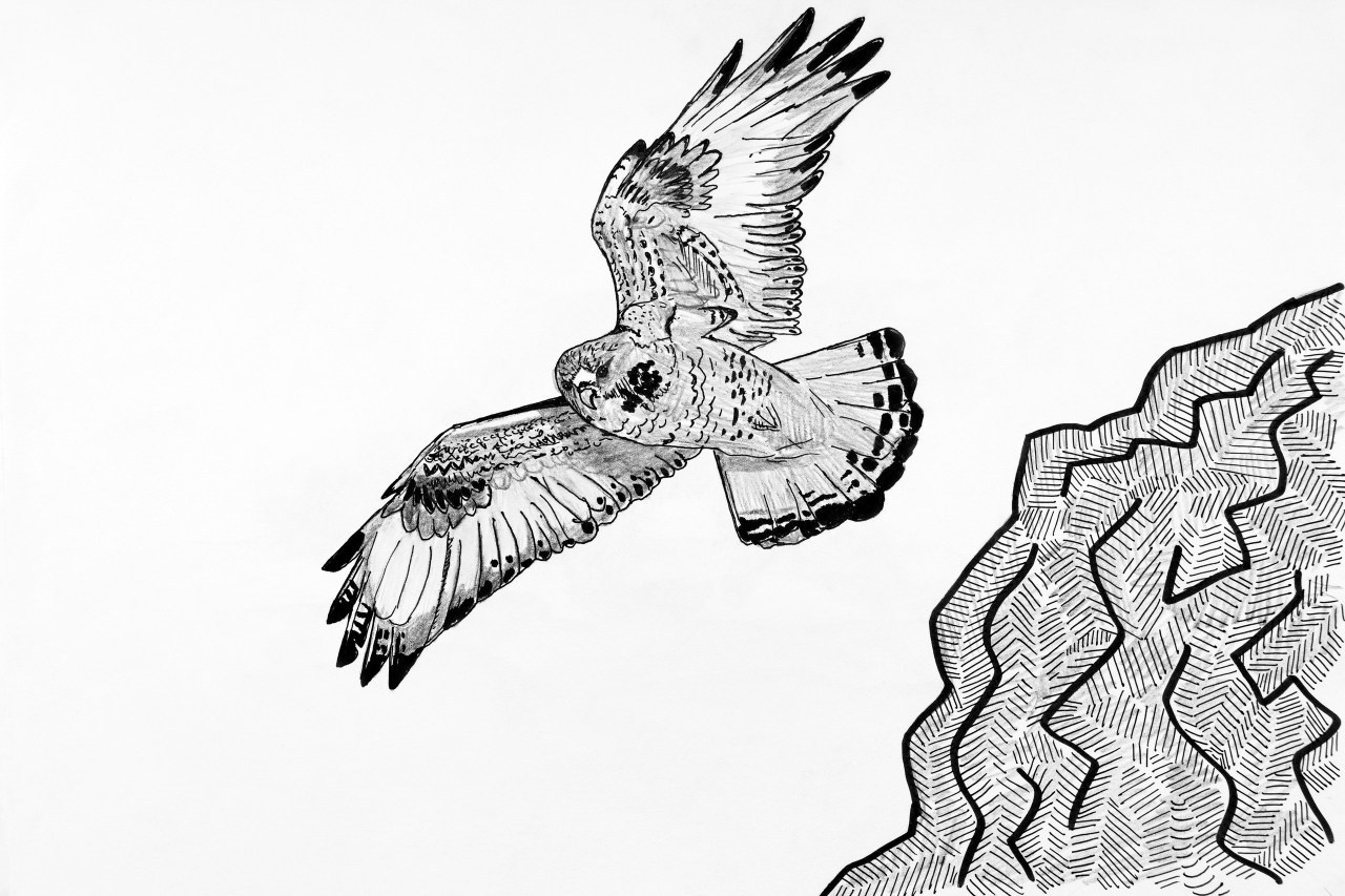 Отзывы. Универсальный фотограф в Крыму