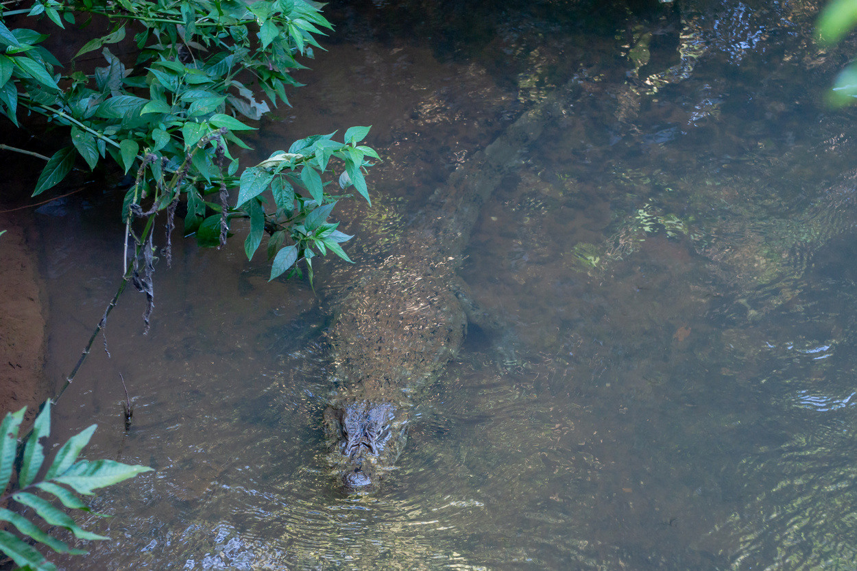 Фотографии из путешествий. Foto-Zuev фотография как искусство