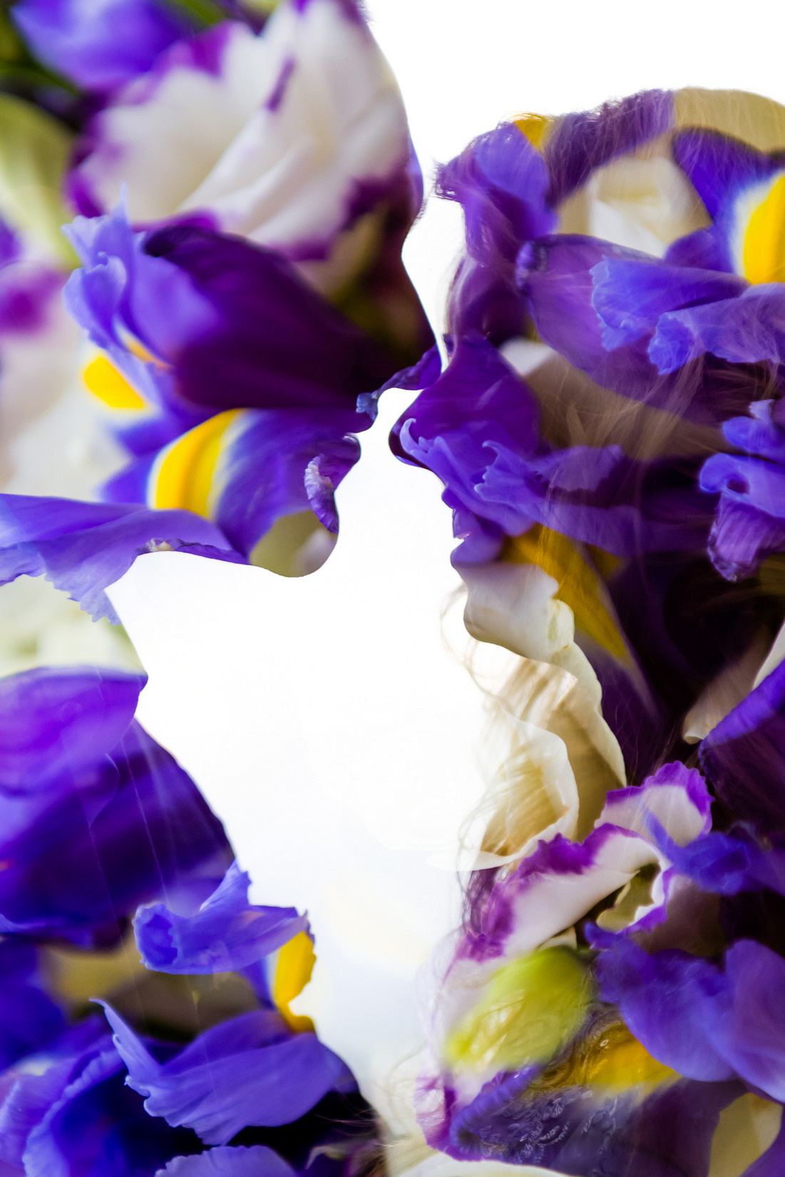 Свадебная фотография, Wedding day, Foto-zuev, Fotozuev, Свадебный фотограф Зуев Андрей