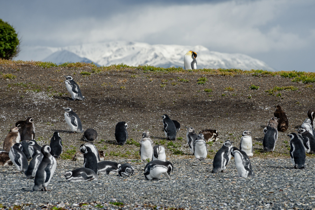 Фотографии из путешествий. Foto-Zuev фотография как искусство