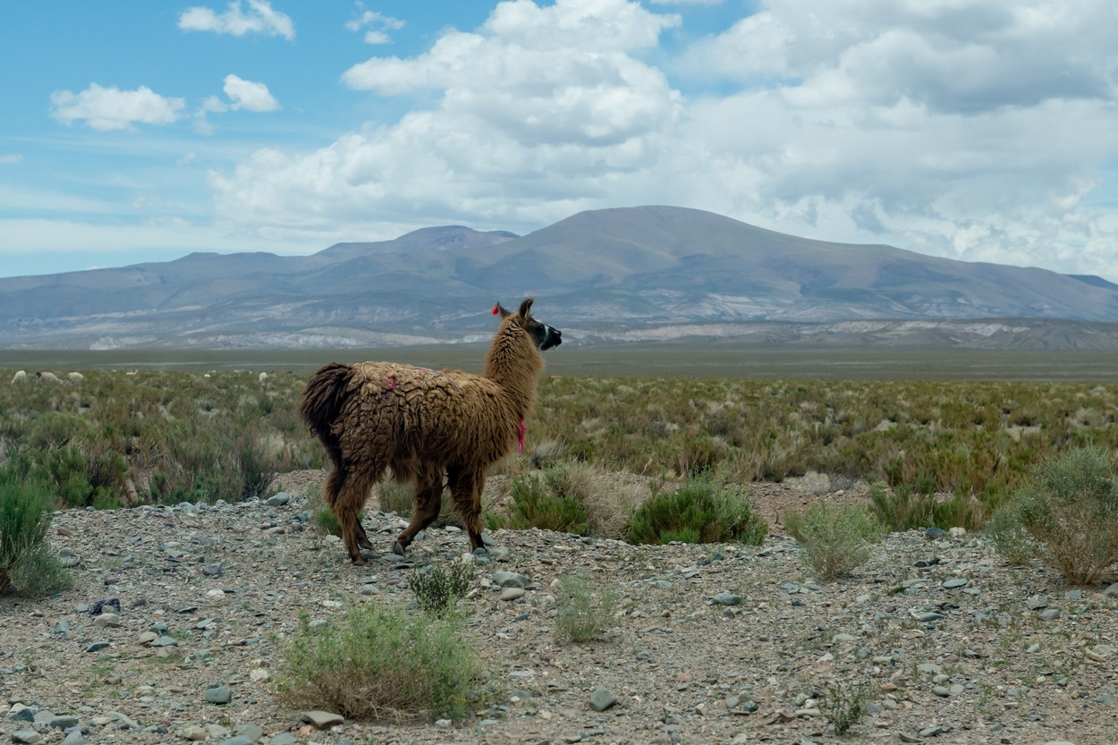 Фотографии из путешествий. Foto-Zuev фотография как искусство