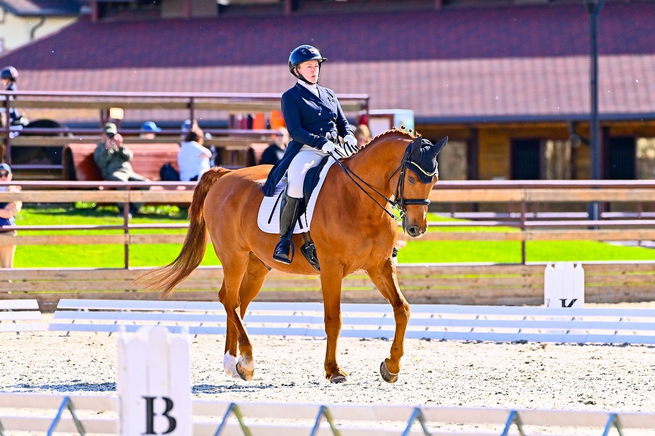 Отзывы. ТУРНИРНАЯ КОННАЯ ФОТОГРАФИЯ, Руднева Ольга и Евгений Адеев