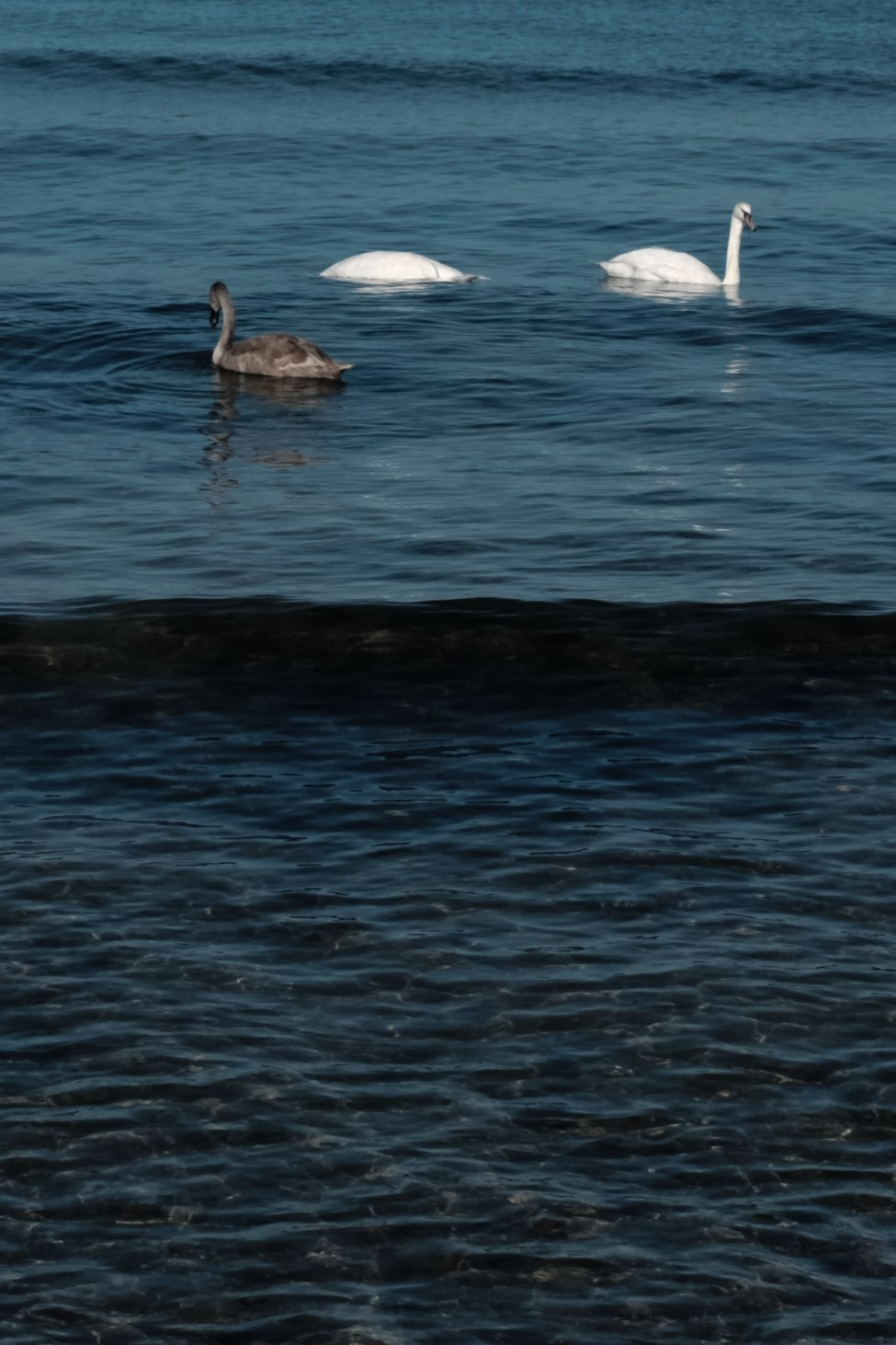 Калининград. Портретный фотограф DanilNabody