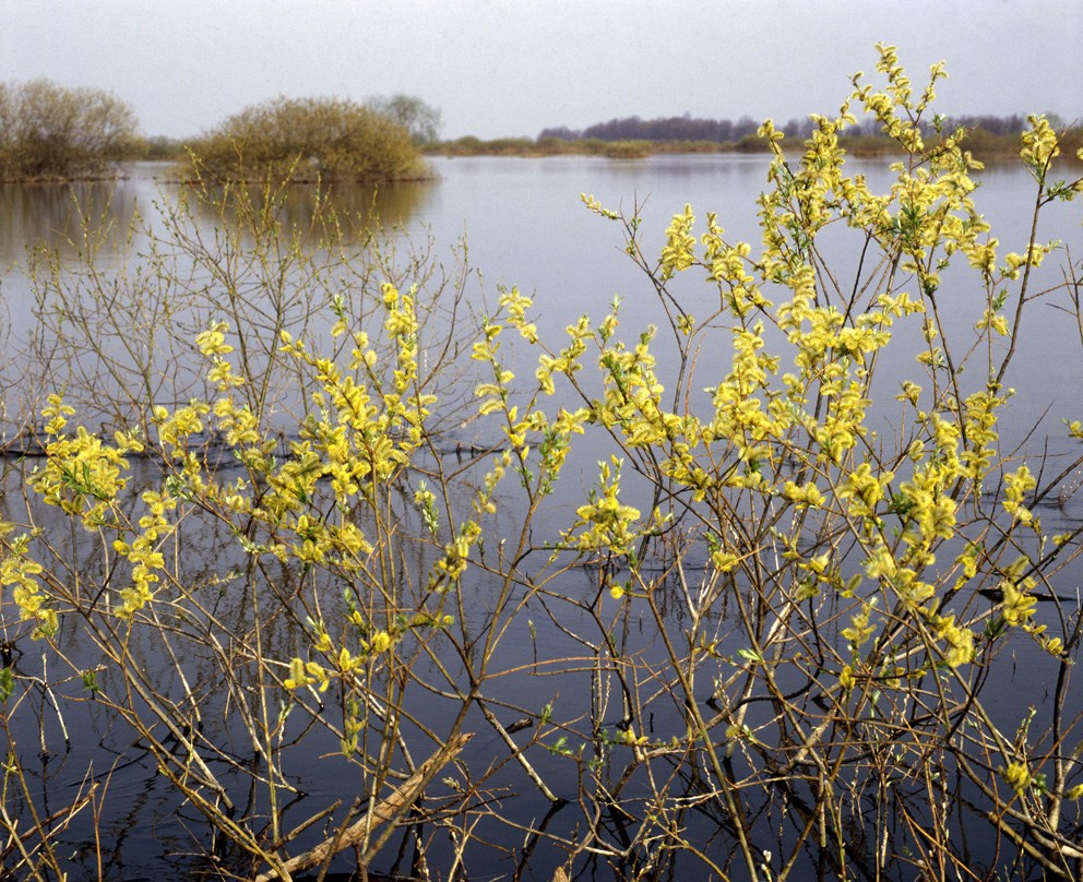Весна. ВАДИМ ГИППЕНРЕЙТЕР — ВЕЛИКИЙ ФОТОГРАФ ЗЕМЛИ РУССКОЙ