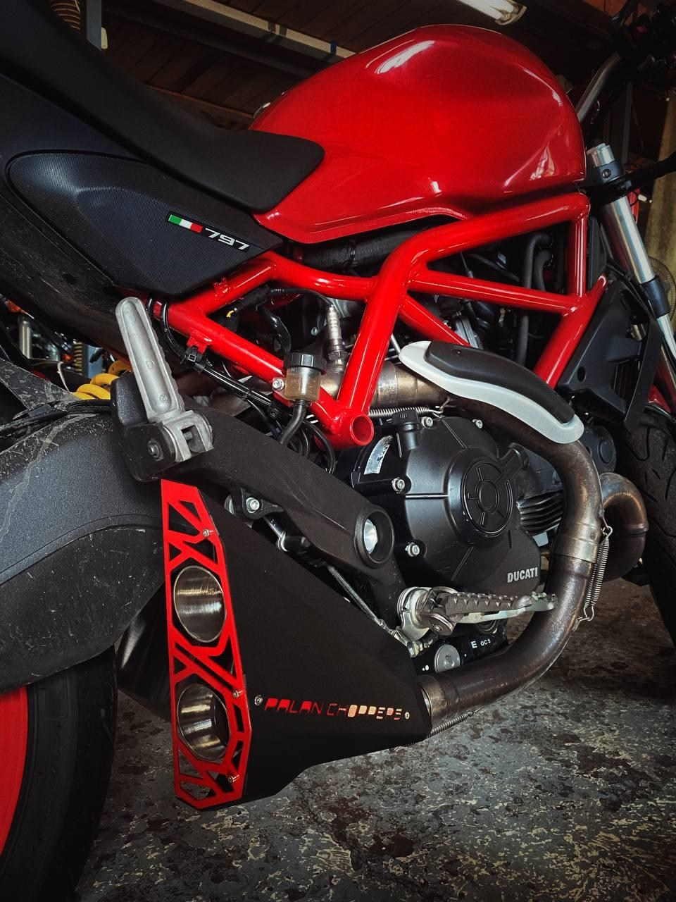 Ducati monster. ......