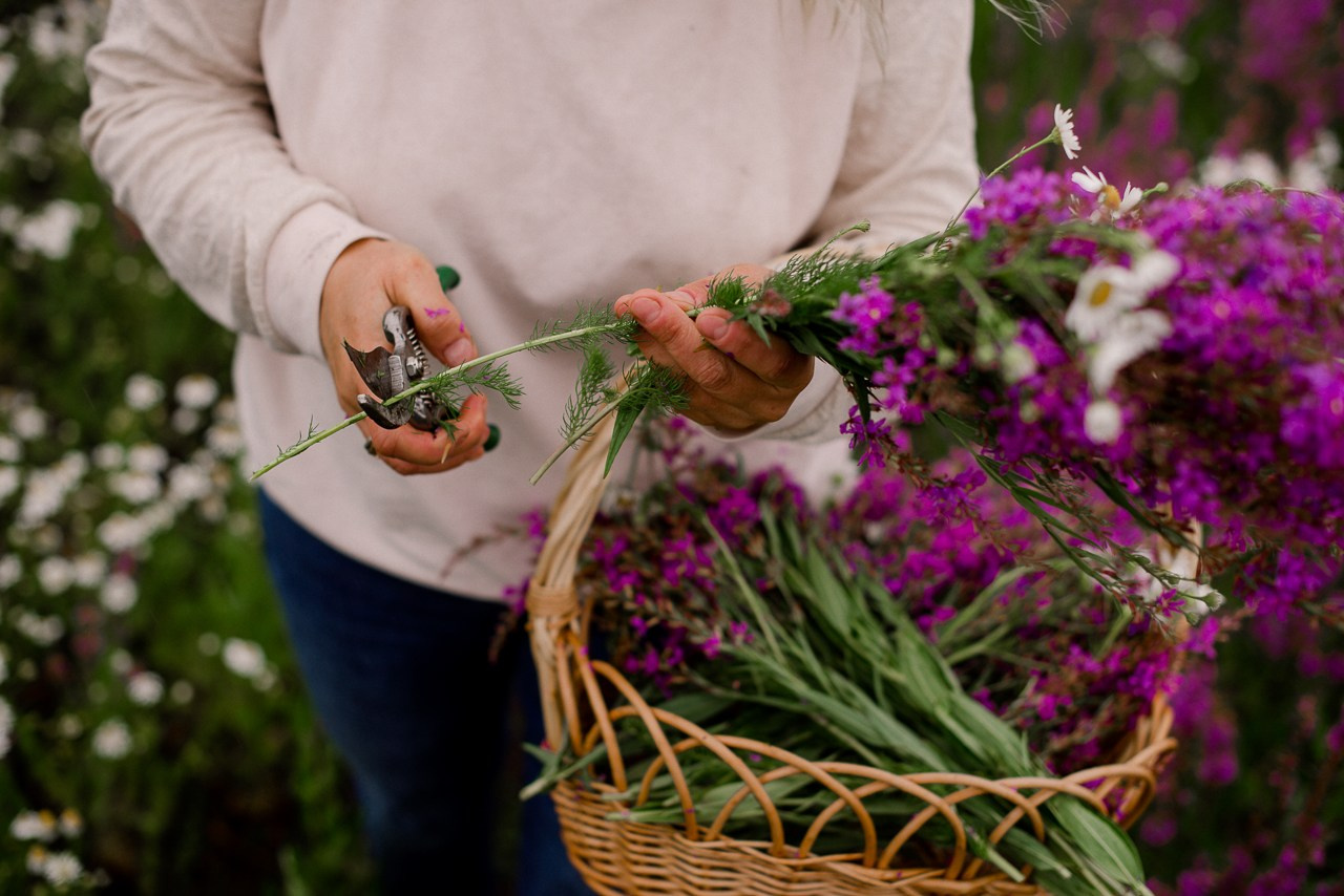 Травы. Портретный и семейный фотограф Магнитогорск Евгения Ионова