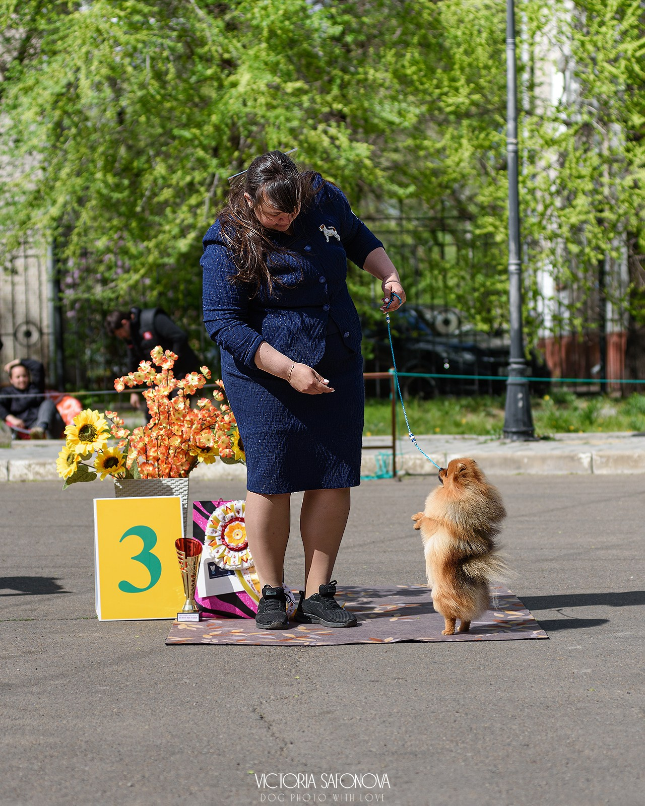 18–19 мая 2024 Благовещенск. Фотограф анималист Благовещенск. Сафонова Виктория