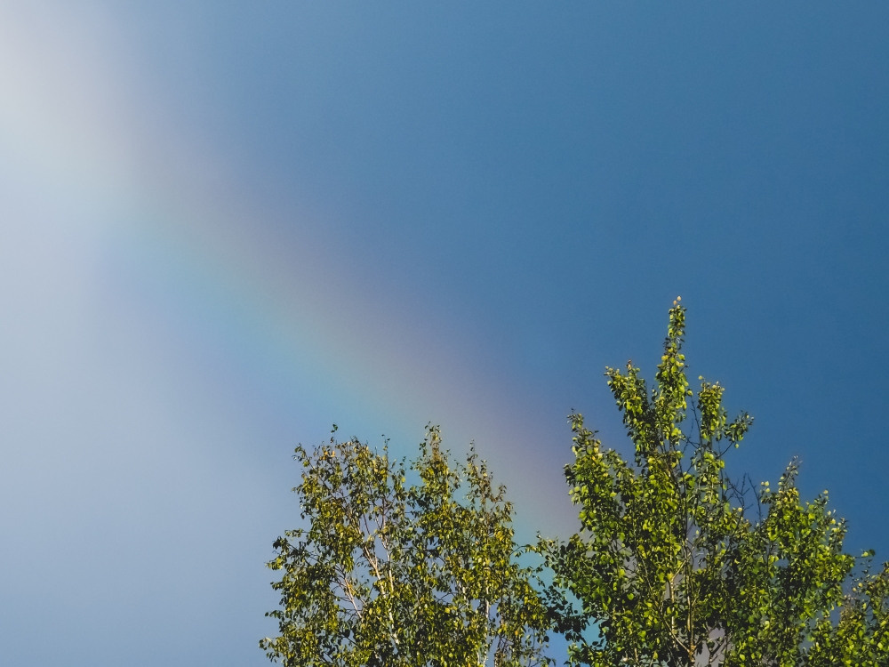 Autumn 2021. Фотограф