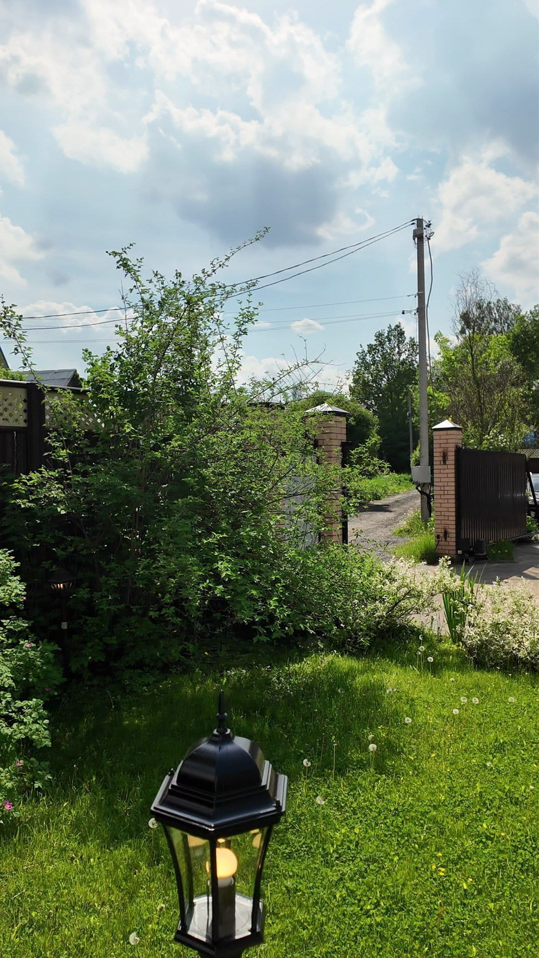 Живая музыка в Москве Ведущий Москва топ ведущих на свадьбу Саксофон. Свадебный ведущий в Москве Саксофон на свадьбу