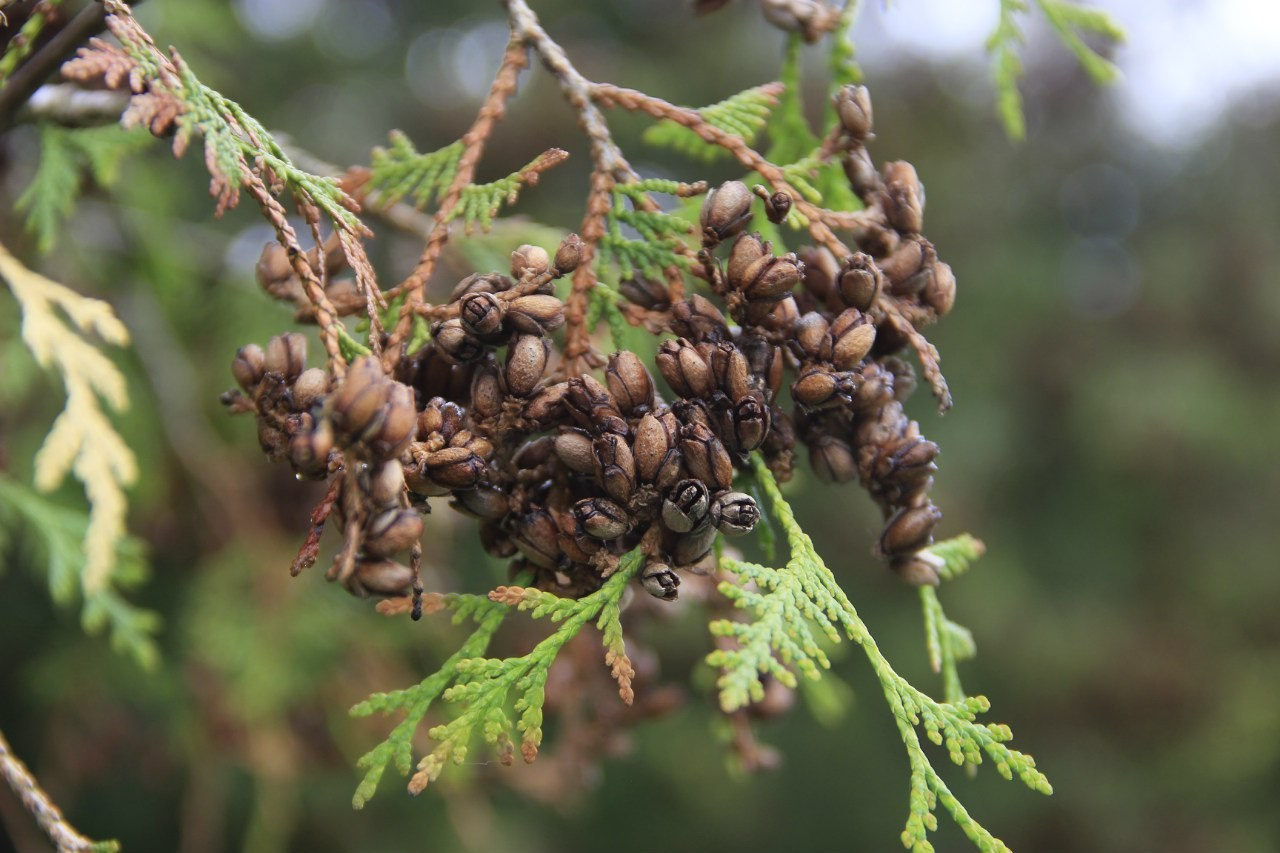 День рождения Фантима. 7 лет! | 21-22.05.2016. Галерея Фантим
