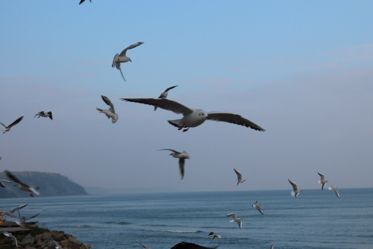 Калининград | 24-26.10.2014. Галерея Фантим