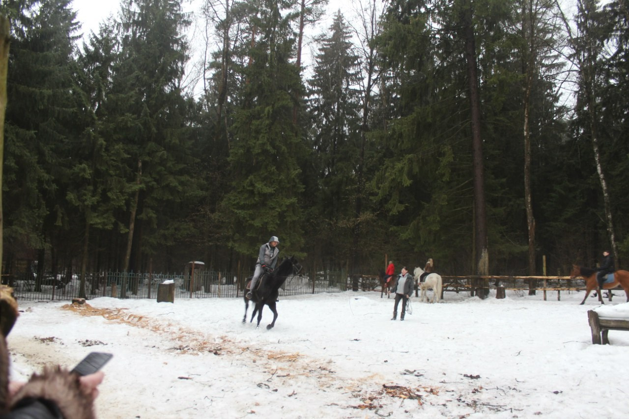 Лошадинг | 01.03.2015. Галерея Фантим