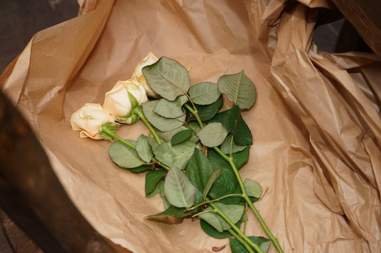 Музыкальная вечеринка | 07.03.2016. Галерея Фантим