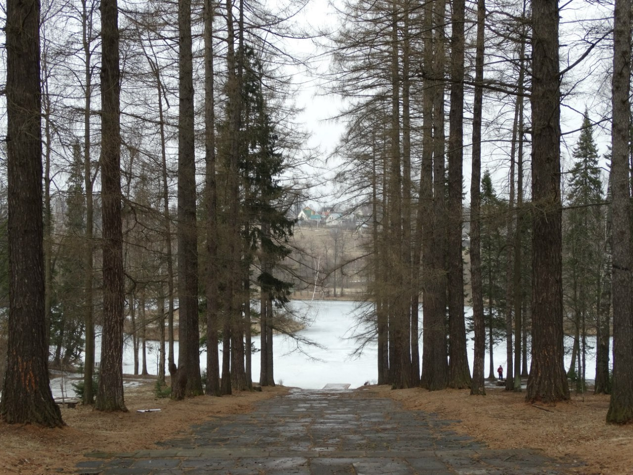 Середниково — Piligrim Porto — Братцево — Сходненская чаша | 09.04.2016. Галерея Фантим
