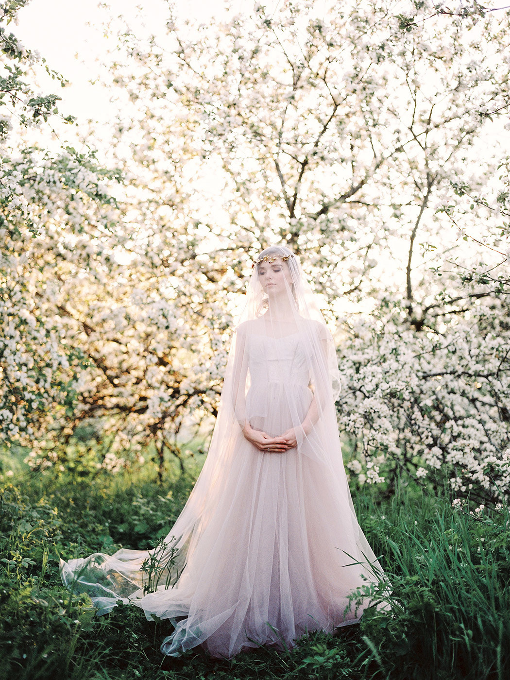 Apple Blossom. Свадебный Fine Art фотограф в Санкт-Петербурге