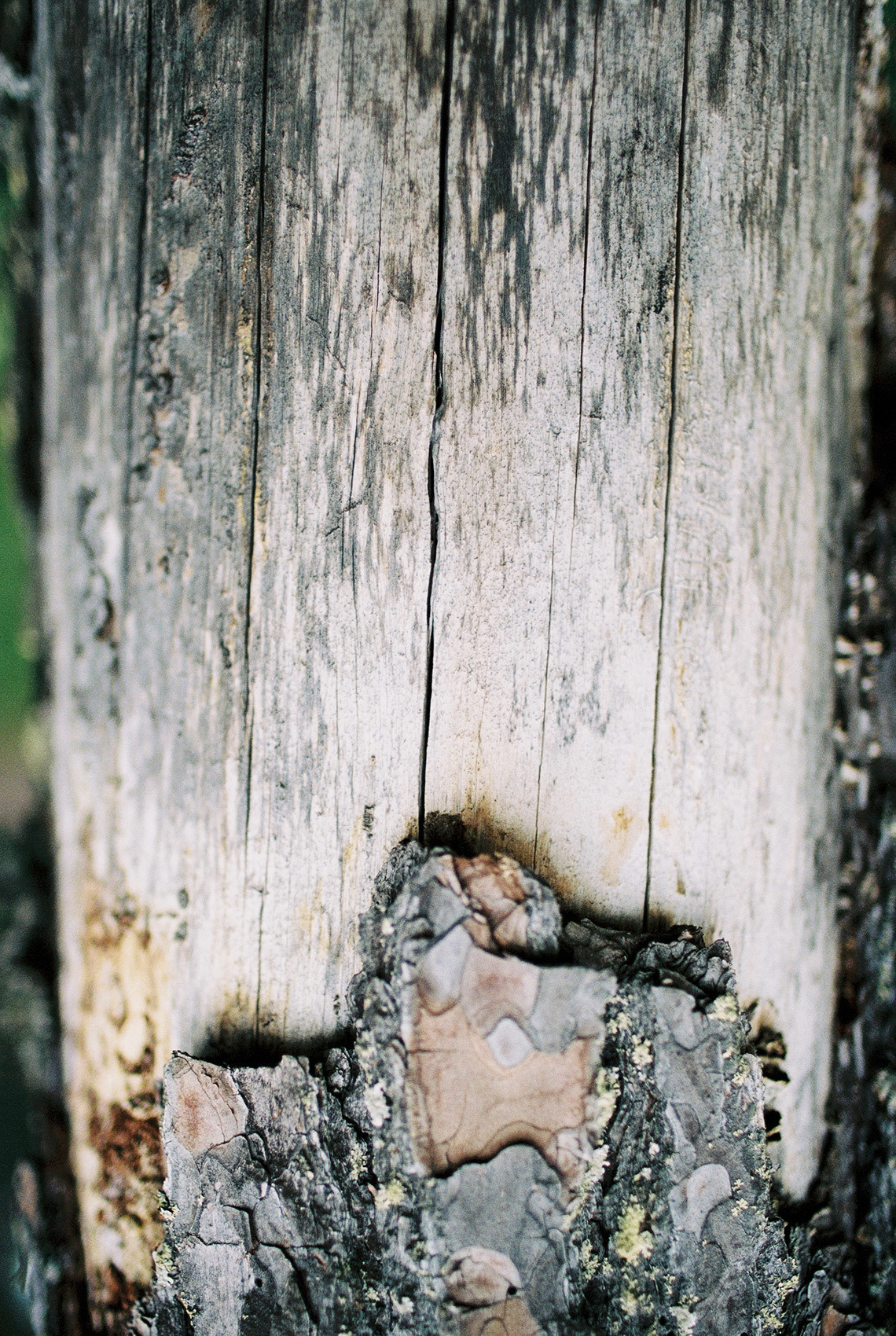 Wild clifs. Свадебный Fine Art фотограф в Санкт-Петербурге