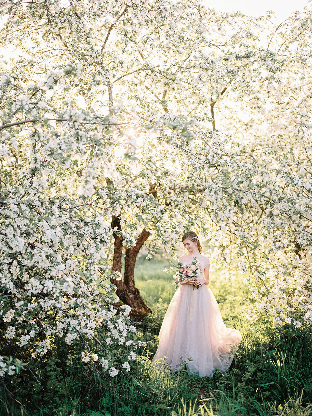 Apple Blossom. Свадебный Fine Art фотограф в Санкт-Петербурге