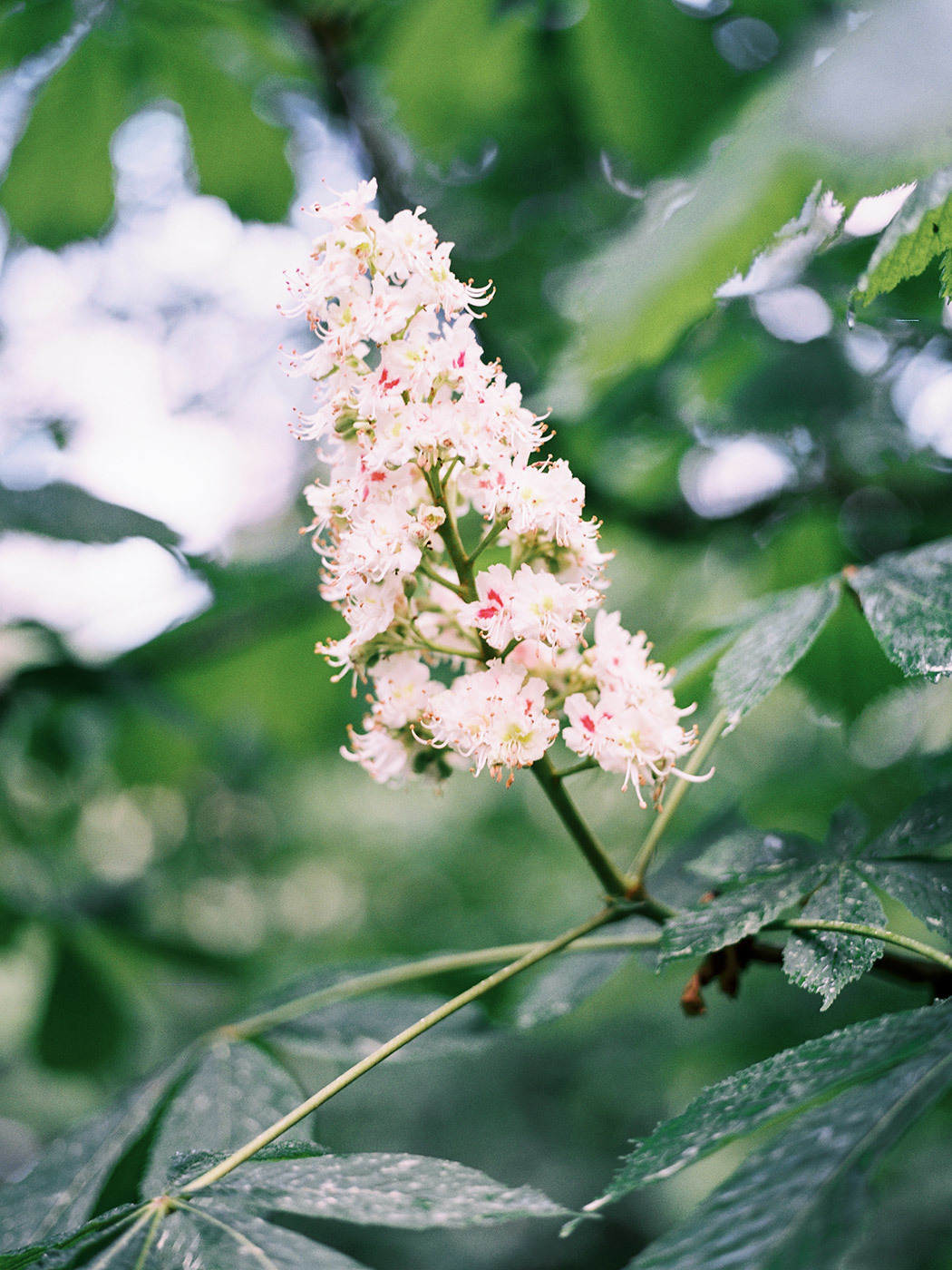 Boudoir. Свадебный Fine Art фотограф в Санкт-Петербурге