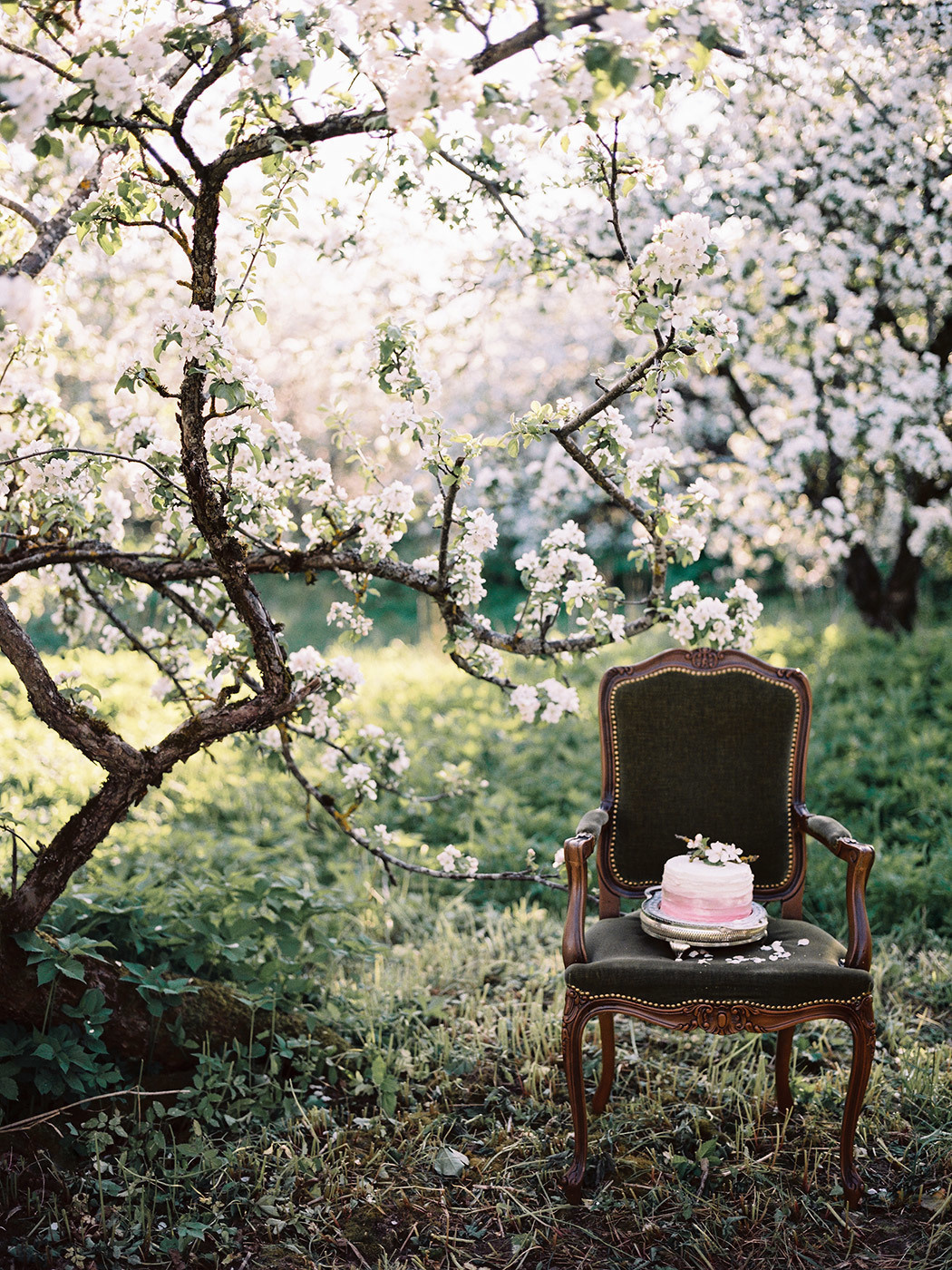 Apple Blossom. Свадебный Fine Art фотограф в Санкт-Петербурге