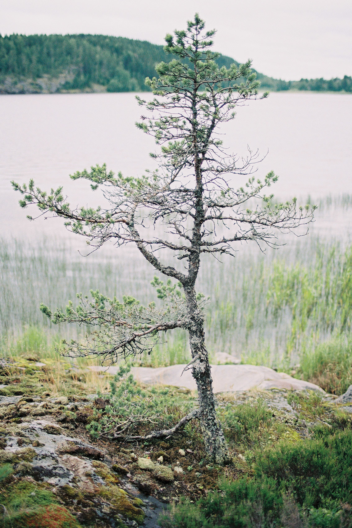 Wild clifs. Свадебный Fine Art фотограф в Санкт-Петербурге