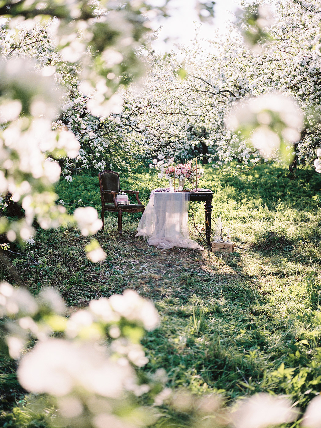 Apple Blossom. Свадебный Fine Art фотограф в Санкт-Петербурге