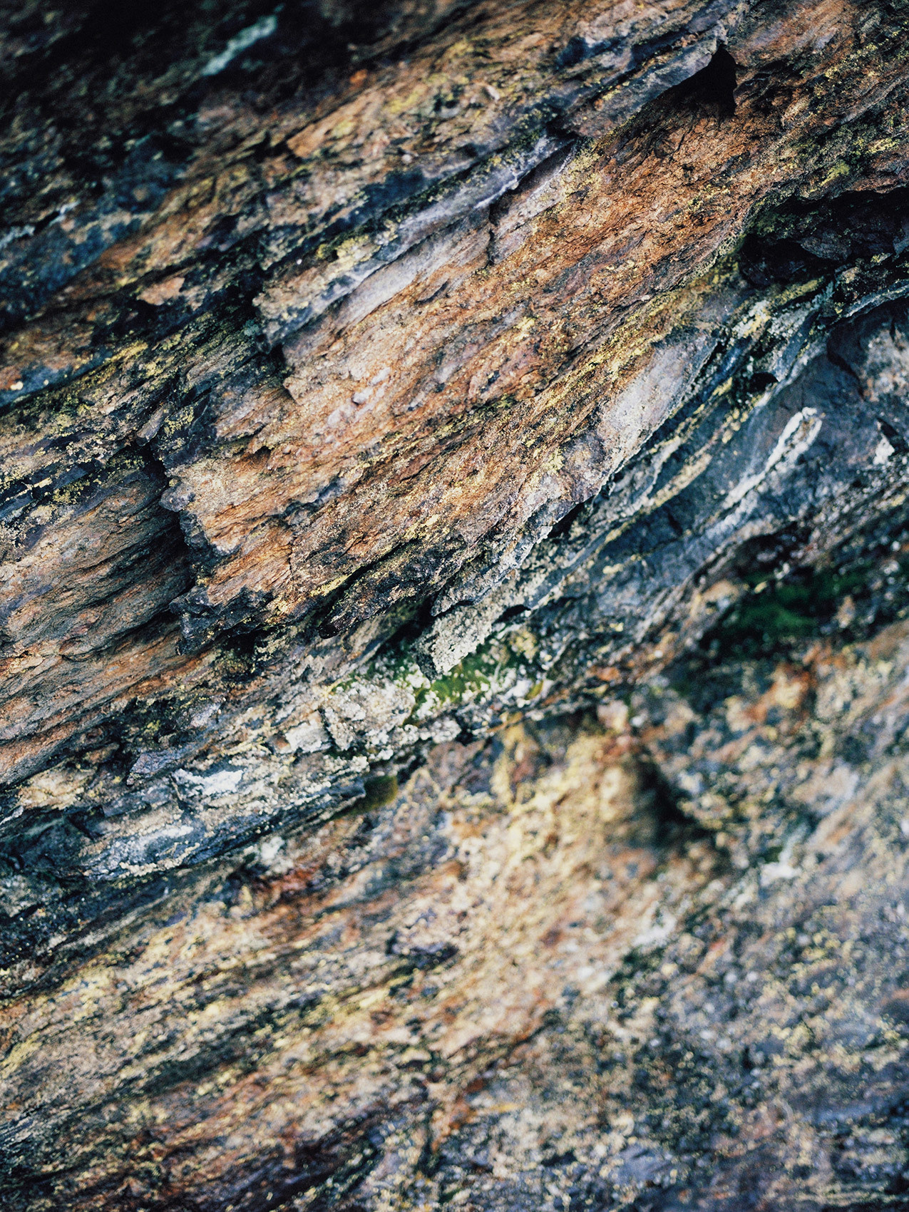 Wild clifs. Свадебный Fine Art фотограф в Санкт-Петербурге