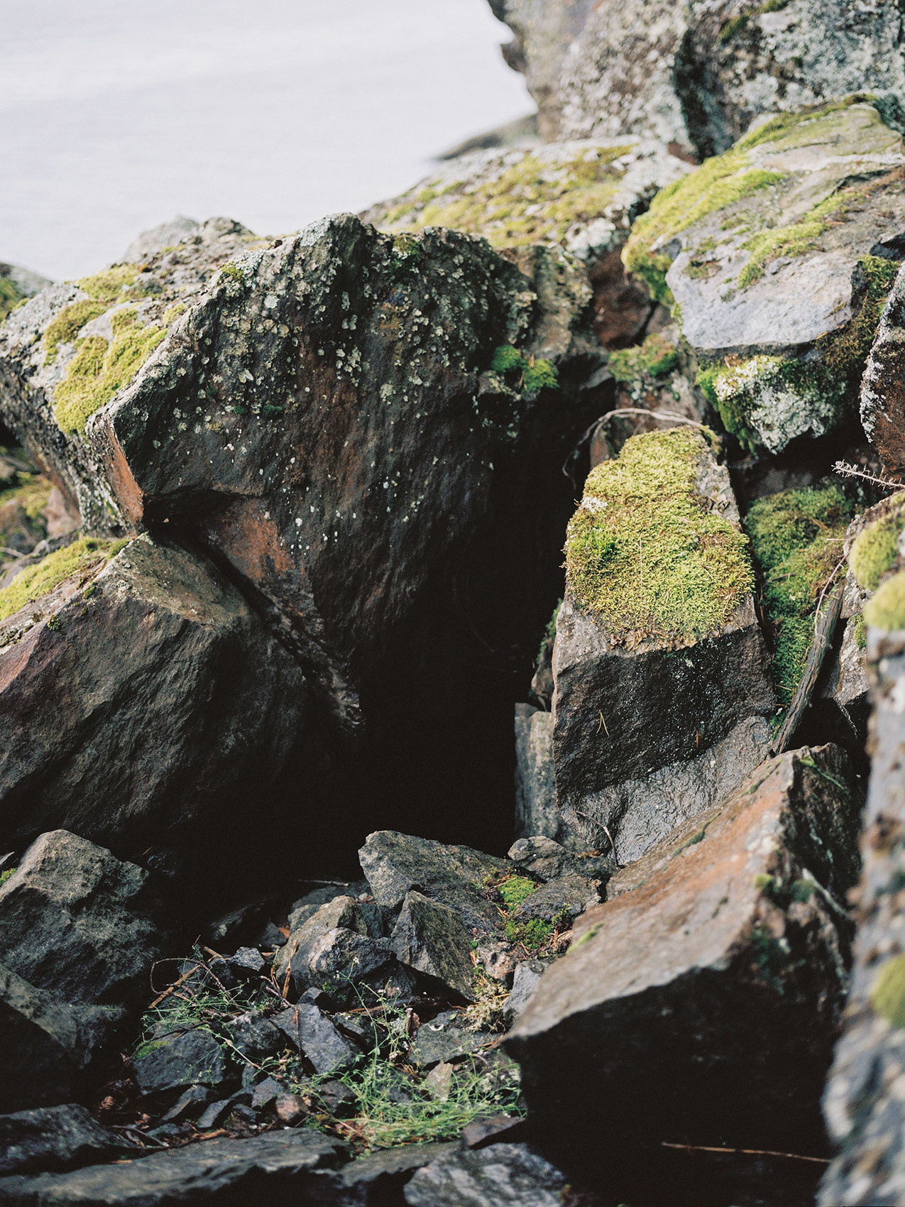 Wild clifs. Свадебный Fine Art фотограф в Санкт-Петербурге