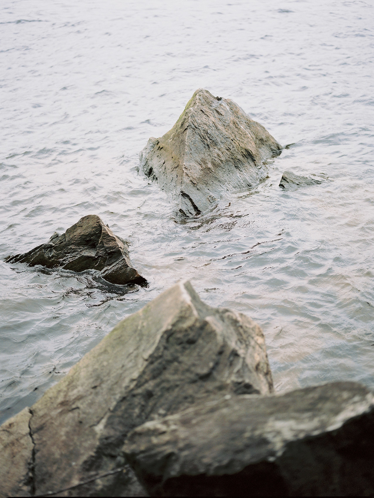 Wild clifs. Свадебный Fine Art фотограф в Санкт-Петербурге
