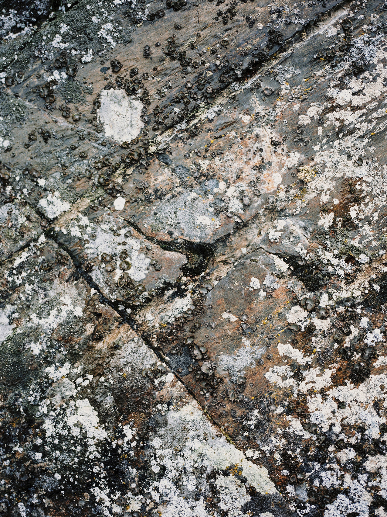 Wild clifs. Свадебный Fine Art фотограф в Санкт-Петербурге