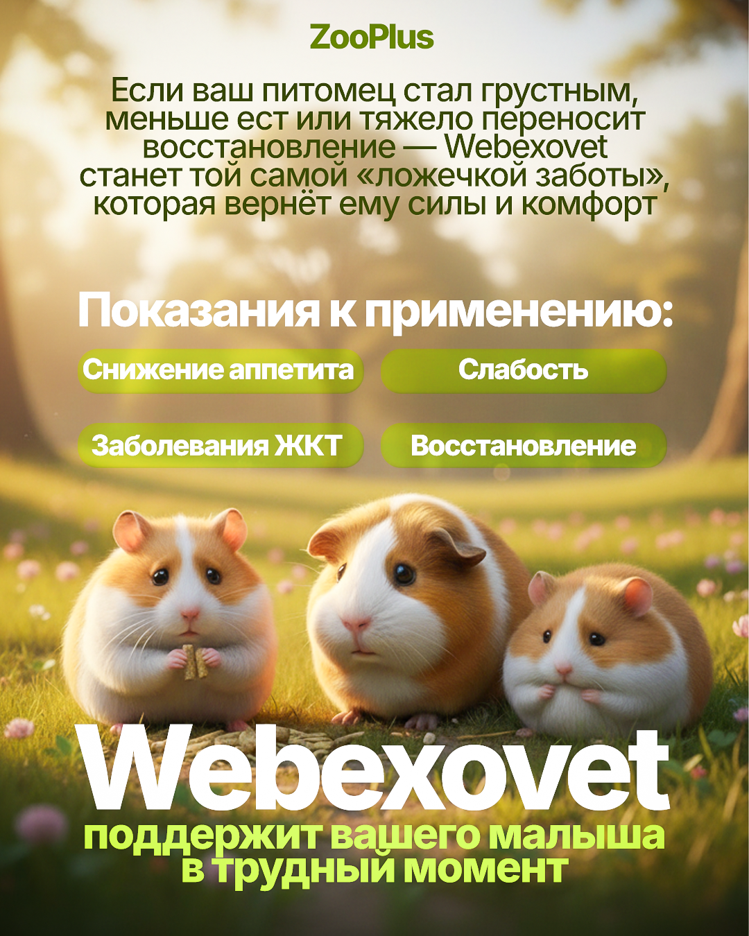 Рич контент/рекламные креативы. Инфографика для маркетплейсов, ваш персональный дизайнер