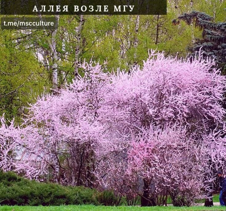 Локации для фотосессии в Москве