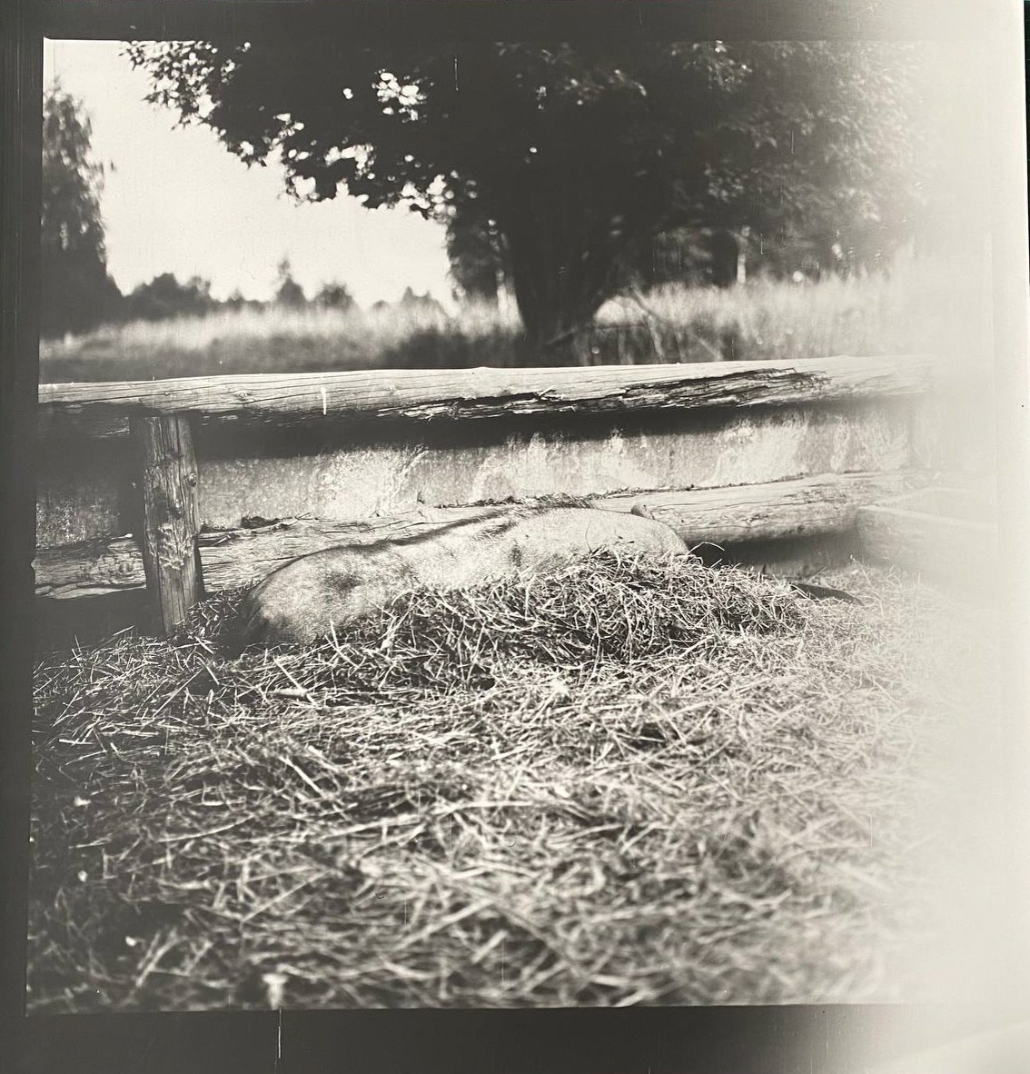 Работы. Об авторе