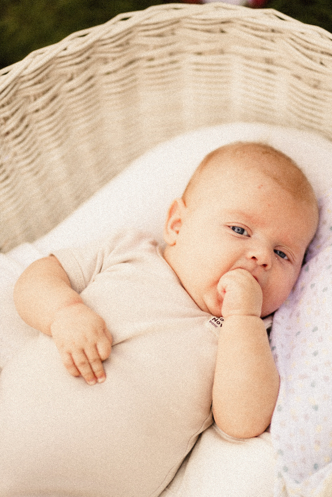 FMLY Марк, Аня, Сара и Томас. Твой друг фотограф