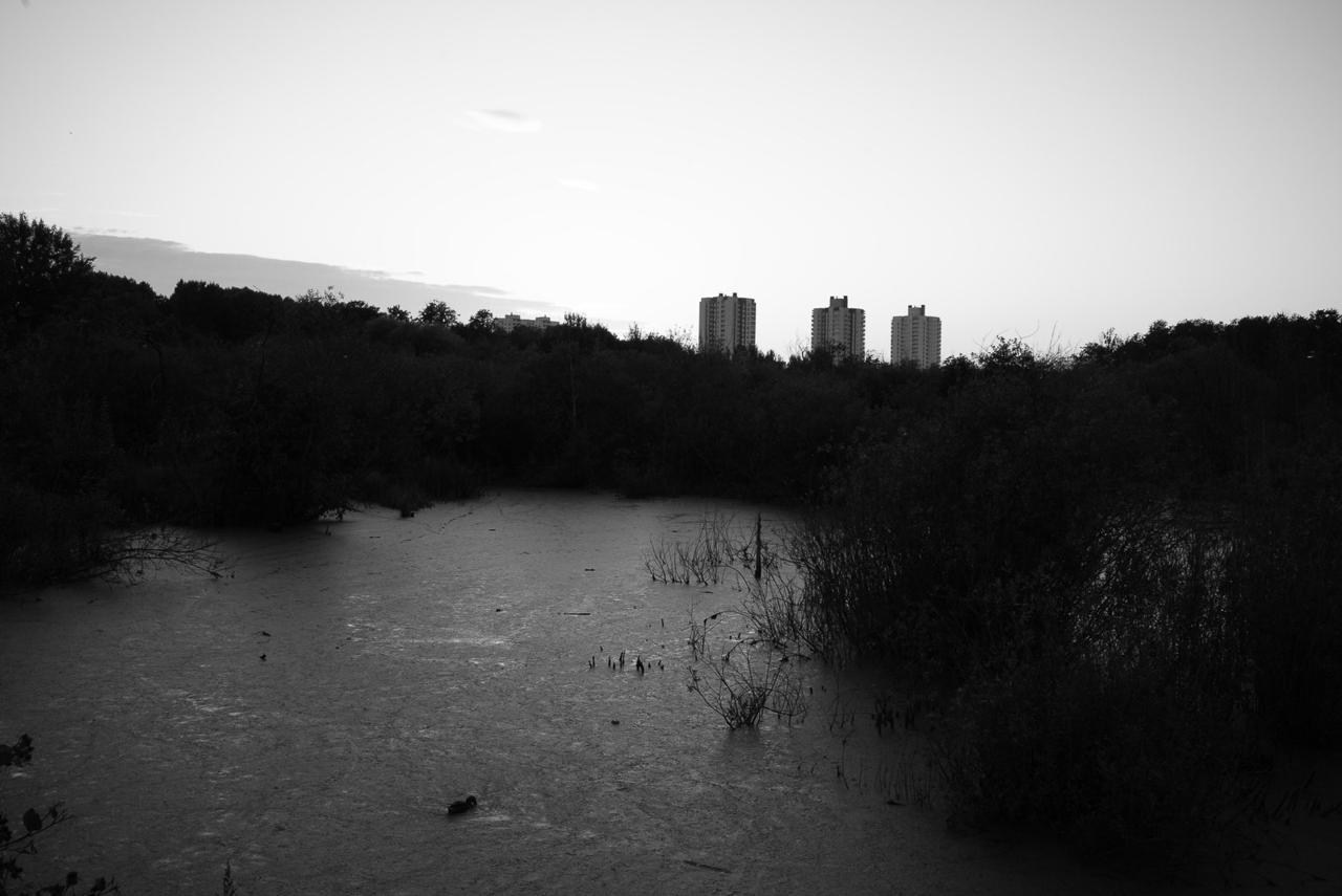 Sedimentation. Пылина Ирина — современная фотография