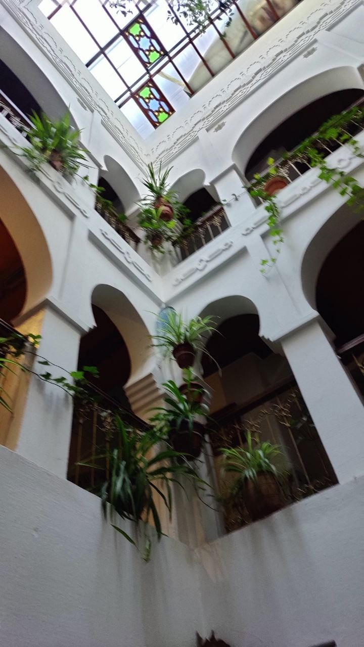 Марокко. Кибернетика и гармония