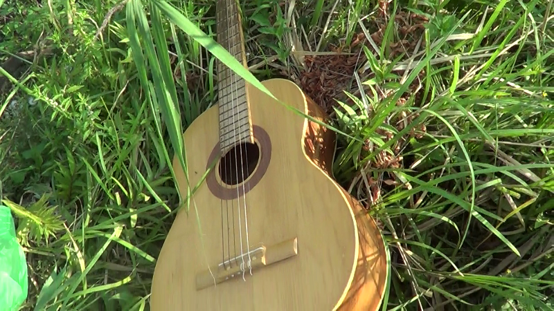 Обертоны. Artist Oleg Semenovykh