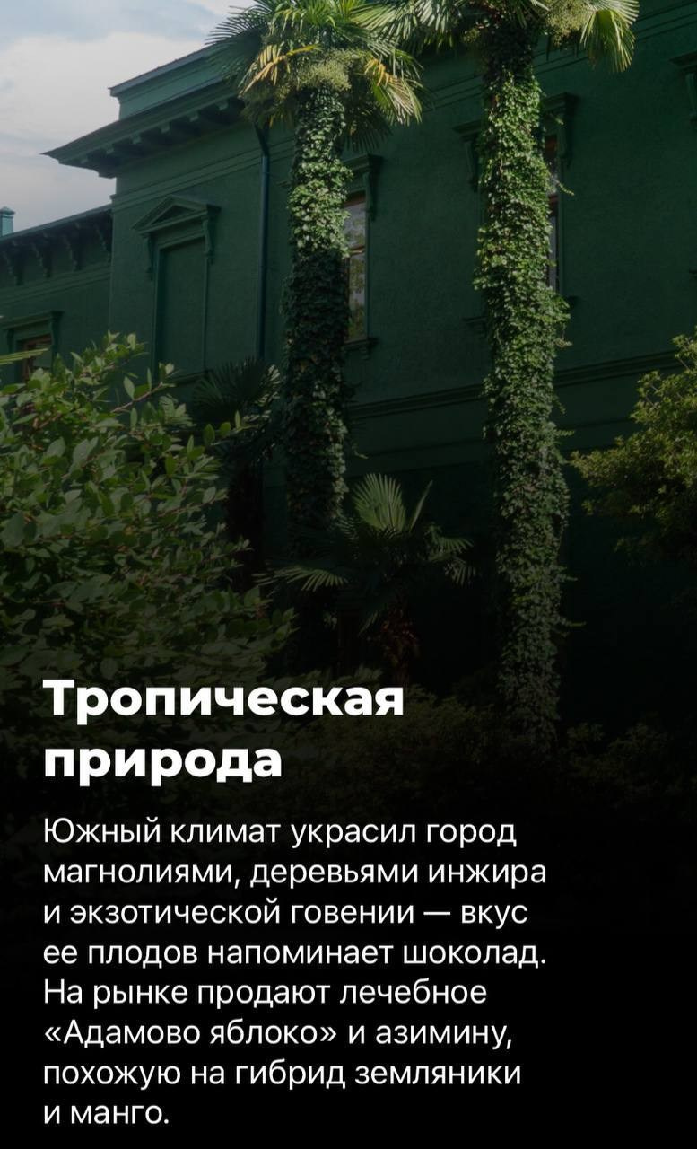 Чем заняться в Сочи весной. Милана Довгаль - семейный фотограф и видеограф  в Адлере и Сочи