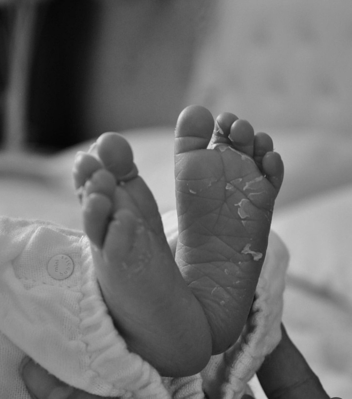 Family. Главная